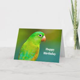 Söt Grönt Parrot Fotofödelsedagen Kort