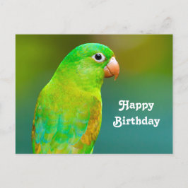 Söt Grönt Parrot Photo Birthday Vykort