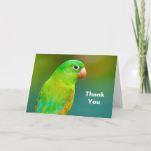 Söt Grönt Parrot Photo