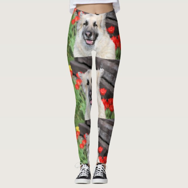 SÖT GSD LEGGINGS (Framsida)