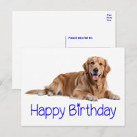 Söt Guld Retriever Valp Hund Glad Födelsedag