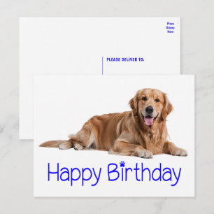 Söt Guld Retriever Valp Hund Glad Födelsedag Vykort