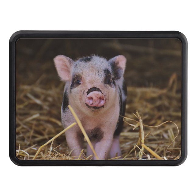 Söt gullig gris dragkroksskydd (Framsidan)