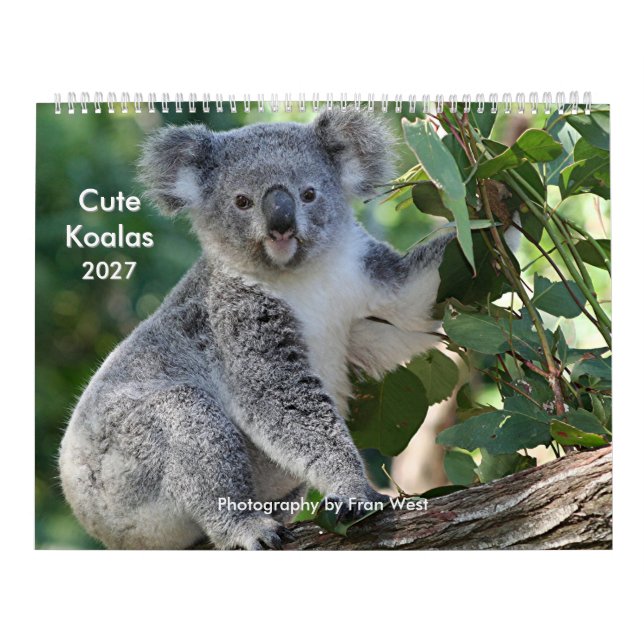 Söt gullig Koala-kalender 2027 Kalender (Omslag)