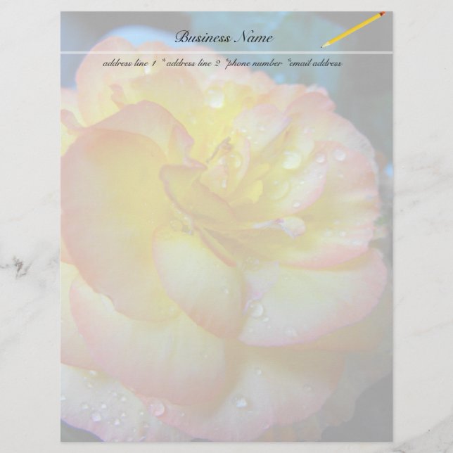söt gult begonia-blomma (Framsida)