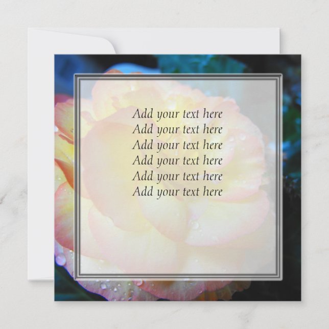 söt gult begonia-blomma (Framsida)