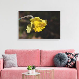 Söt Gult Daffodil Flower 24,00 x 16,00 tum Canvastryck