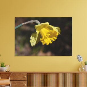Söt Gult Daffodil Flower 36,00 x 24,00 tum Canvastryck