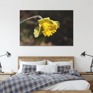 Söt Gult Daffodil Flower 48,00 x 32,00 tum Canvastryck