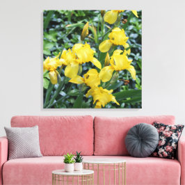 Söt Gult Iris Blomsterträdgård Canvas