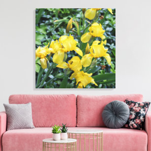 Söt Gult Iris Blomsterträdgård Canvas