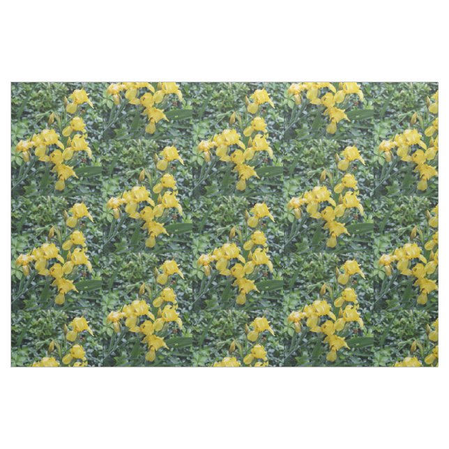 Söt Gult Irises Garden Flowers Tyg (Fat Quarter)