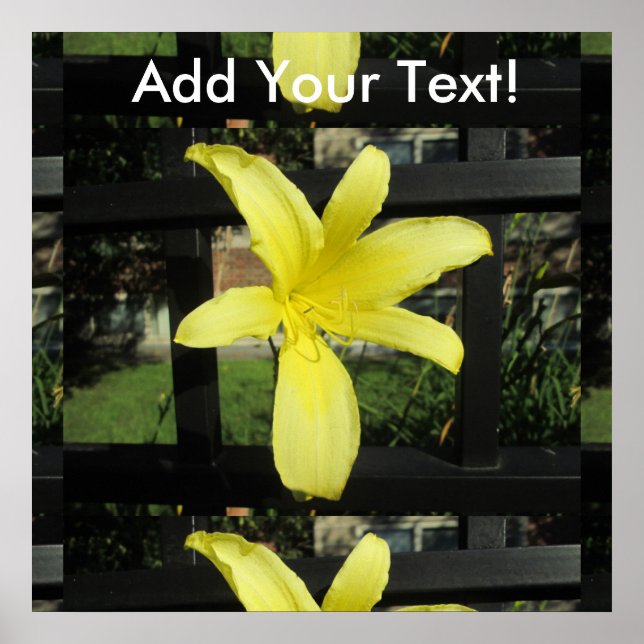 Söt Gult Lily Flower Poster (Framsidan)