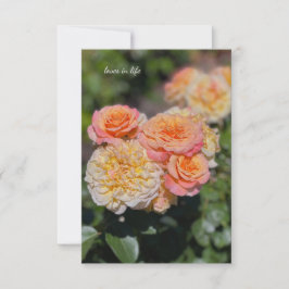 Söt Gult och Rosa ros Anteckningskort