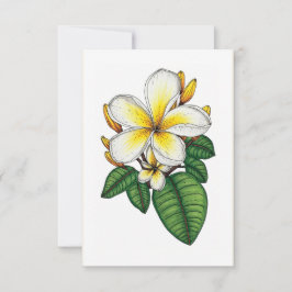 Söt Gult och White Plumeria Hawaiian Tack Kort