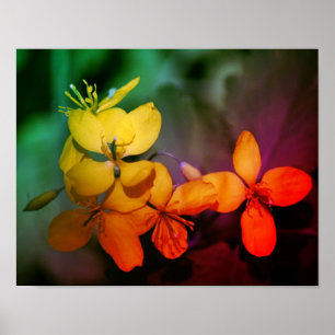Söt Gult Wildblommor Abstrakt Poster