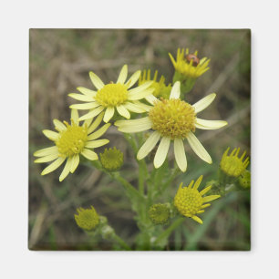 Söt Gult Wildblommor Magnet
