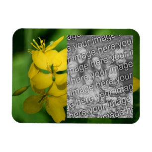 Söt Gult Wildwers Ram Lägg till ditt foto Magnet