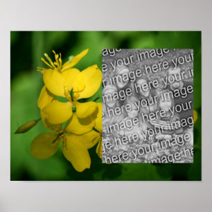 Söt Gult Wildwers Ram Lägg till ditt foto Poster