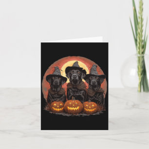 Söt Halloween Svart Labrador Retriever Hundar Häxa Kort
