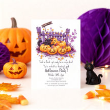 Söt Halloweenfest för svarta katter i pumpafält