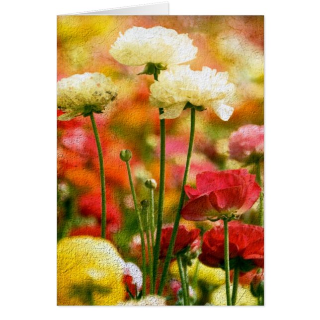 Söt Hälsningskort (Framsidan)