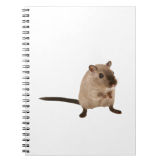söt hampster anteckningsbok