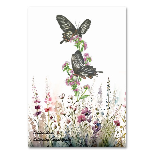 Söt Hand-Paected Ceylon Ro Butterfly Bordsnummer (Framsidan)