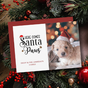 Söt Här Kommer Santa Paws Hund Jul Foto Julkort