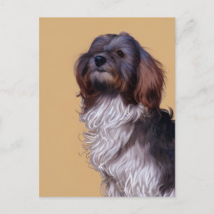 Söt Havanesiskt valp hund vykort