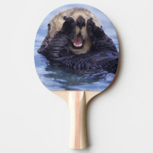 Söt havsutter Alaska, USA Pingisracket