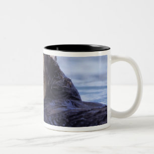Söt havsutter Alaska, USA Två-Tonad Mugg