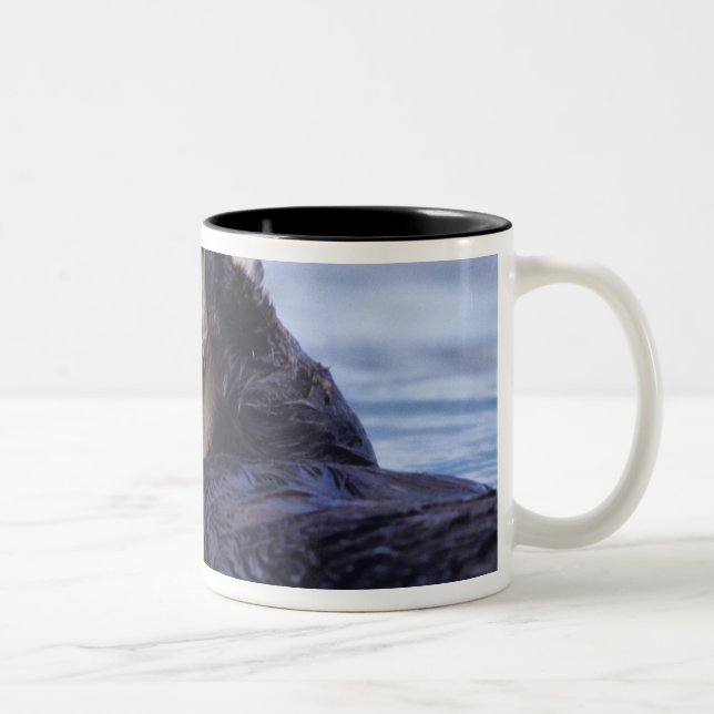 Söt havsutter | Alaska, USA Två-Tonad Mugg (Höger)
