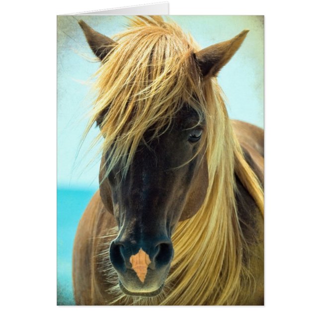 Söt Horse Hälsningskort (Framsidan)