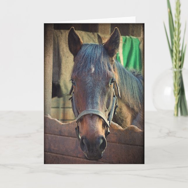 Söt Horse & Stable Greeting Card Kort (Framsida)