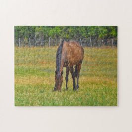 Söt Horse Texas Pasture Farm Puzzle Pussel