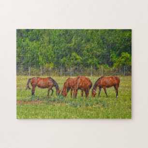 Söt Horses Grazing in a Texas Pasture Peacresh Pussel