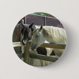 Söt Horses Knapp