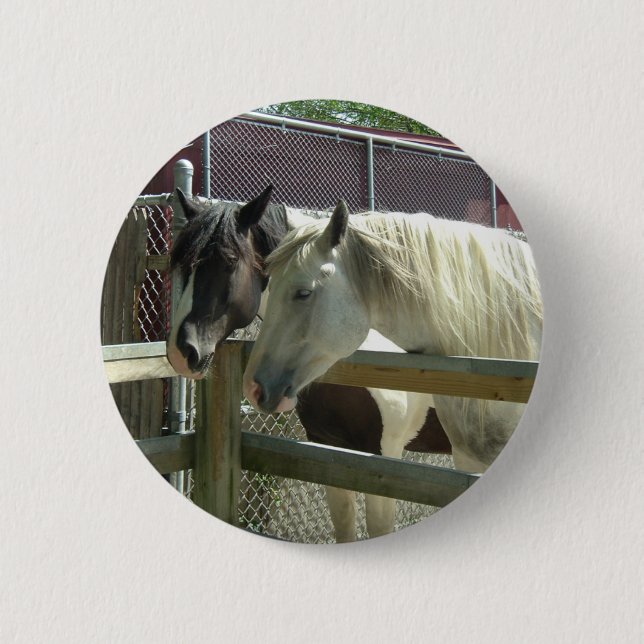 Söt Horses Knapp (Framsida)
