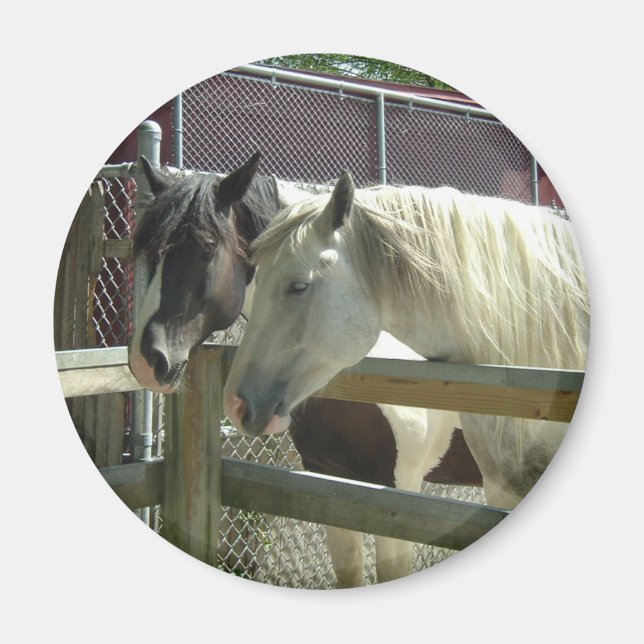 Söt Horses Magnet (Framsidan)