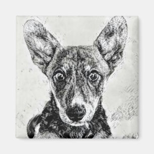 Söt Hund Ansikte Magnet