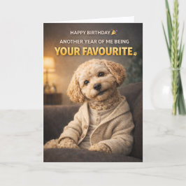 Söt hund födelsedagskort Din favorit Cockapoo Kort