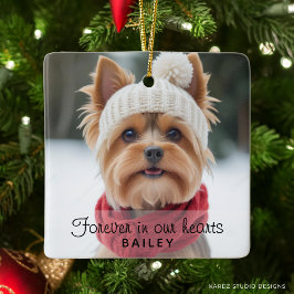 Söt Hund Foto Sympati Ornament