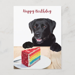 Söt Hund Glad Födelsedag - Svart Labrador Retrieve Vykort