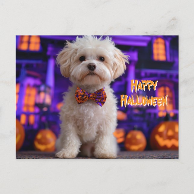 Söt Hund Glad Halloween Spökhus Vykort (Framsida)