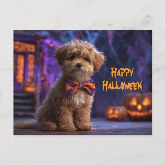 Söt Hund Glad Halloween Spökhus Vykort (Framsida)