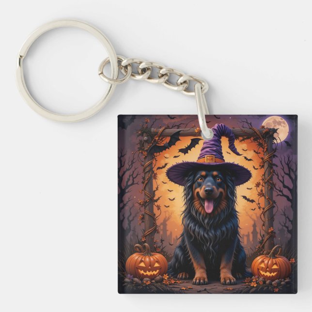 Söt Hund Hekhatt Pumpa Halloween Scen (Framsidan)