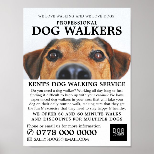 Söt Hund, Hundpromenerartjänst Reklam Poster (Framsidan)