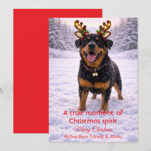 Söt hund jul söta citat Julkort