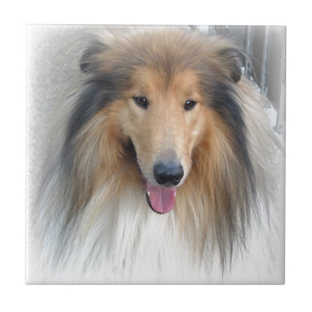 Söt hund kakelplatta (Framsidan)